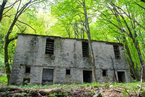 A ruined house in the forests above Como - we were very lost when I took this photograph!